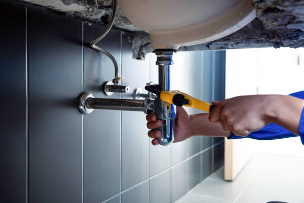 Best 24/7 Emergency Plumbing Services  in Mogul, NV